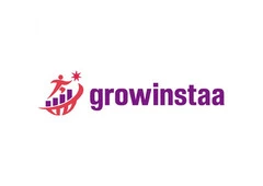 Instagram Marketing Agency India Experts | growinstaa
