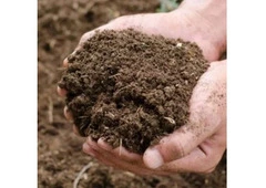 Cow Dung Manure Suppliers in Maharashtra