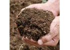 Cow Dung Manure Suppliers in Maharashtra
