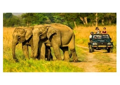 Planning a relaxing getaway with your loved ones?