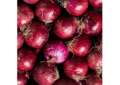 Red Onion Suppliers in Maharashtra
