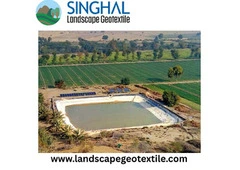 Pond Liner Perfection: Building Durable, Leak-Proof Water Features with Confidence