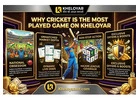 Why Cricket Is the Most Played Game on Kheloyar