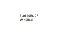 Same Day Flower Delivery Williams Landing - Blossoms of Wyndham
