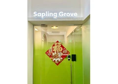 Best After School Care in Katong