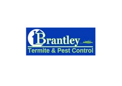 Effective Pest Control Services