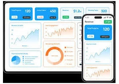 Data Visualization Services Provider - Dreamer Technoland