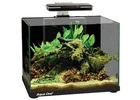 Trusted Online Aquarium Store Australia – Oasis Aquariums