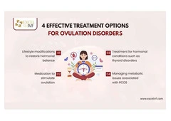 Ovulation Disorders Explained: Causes & Treatment Options