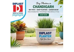 Buy Planters in Chandigarh