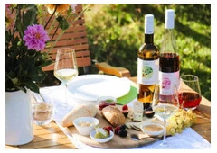 Genuss, Natur und Ruhe erleben im Weingut mit Übernachtung und Weinprobe