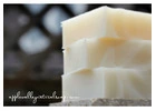 Unwrap Nature: Give the Gift of All-Natural Hand Soap Magic!