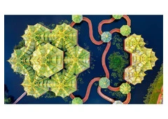 Terapias Naturales para el Bienestar – Consulta Holística