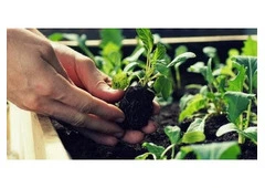 Top Grade Hyflosupercel for Efficient Filtration