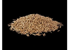 cumin seeds suppliers in india - bulk