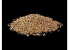 cumin seeds suppliers in india - bulk
