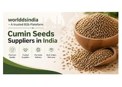 Cumin seeds wholesale suppliers in India