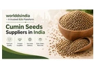 Cumin seeds wholesale suppliers in India
