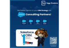 Salesforce Consulting Services  in India