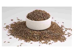 Bulk Cumin Seeds Suppliers in Delhi