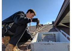 Brampton Wildlife Control