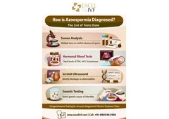 Azoospermia: When No Sperm Is Found — Causes, Diagnosis & Treatment Options