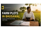 Farm Plots in Bhusawal — Explore Certified Agricultural Land Today | Propertzz