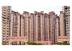 Amrapali Golf Homes Noida Extension | Flats for Sale with Modern Amenities