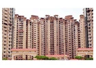 Amrapali Golf Homes Noida Extension | Flats for Sale with Modern Amenities