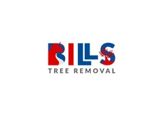 Storm Damage Tree Removal Near Me Emergency Help