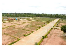 What is the average price of a plots in Sector 112 Noida?