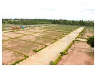 What is the average price of a plots in Sector 112 Noida?