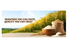 Top 10 Basmati Rice Manufacturers in India - Shree Krishna Exports