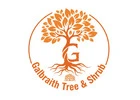 Affordable Stump Grinding Geneseo Clean & Safe Property Care