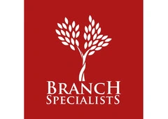 Trusted Tree Service Rochester NY for Safe and Healthy Properties