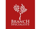 Trusted Tree Service Rochester NY for Safe and Healthy Properties