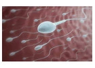 Low Sperm Motility: Why Sperm Don’t Swim Properly and What Can Help