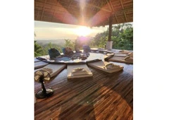 Ayahuasca Retreat USA | Professional & Safe Spiritual Healing